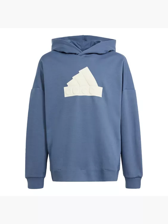 adidas Future Icons Logo Hoodie
