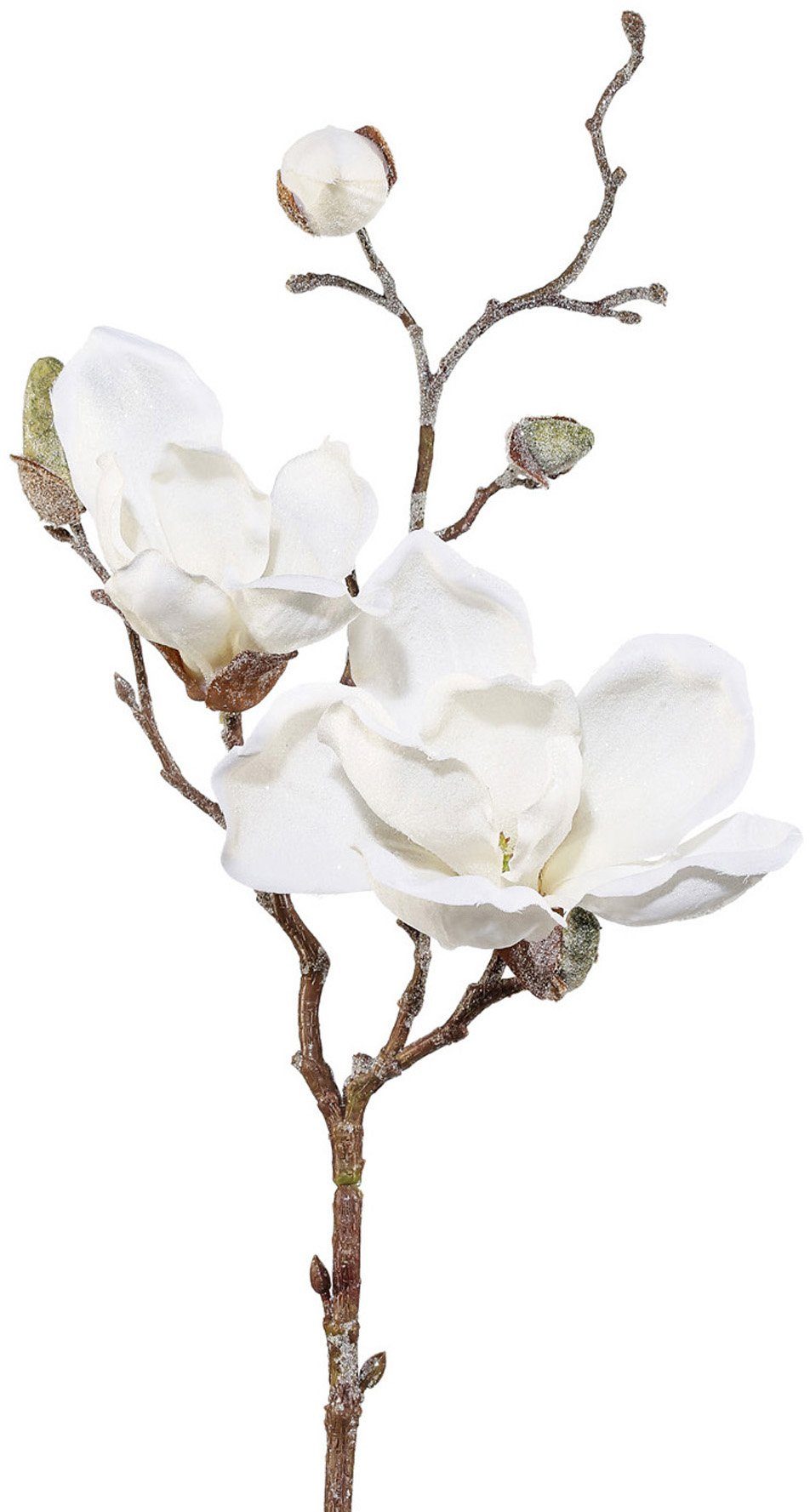 Winterliche Kunstpflanze Weihnachtsdeko Magnolie, Creativ green, Höhe 50 cm, Zweig mit Blüten und Knospen, in geeister Optik, 3er-Set