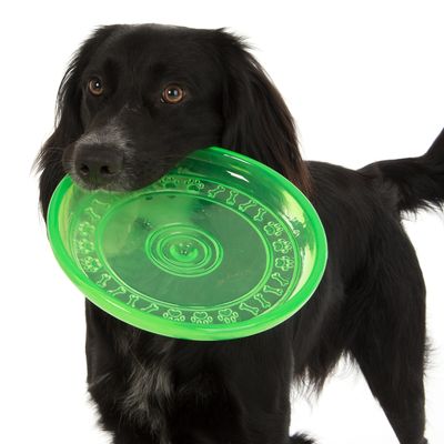 Hundespielwurfscheibe aus TPR
