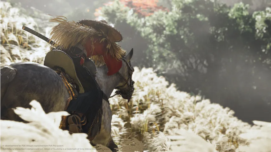 Ghost of Tsushima (Director's Cut)
