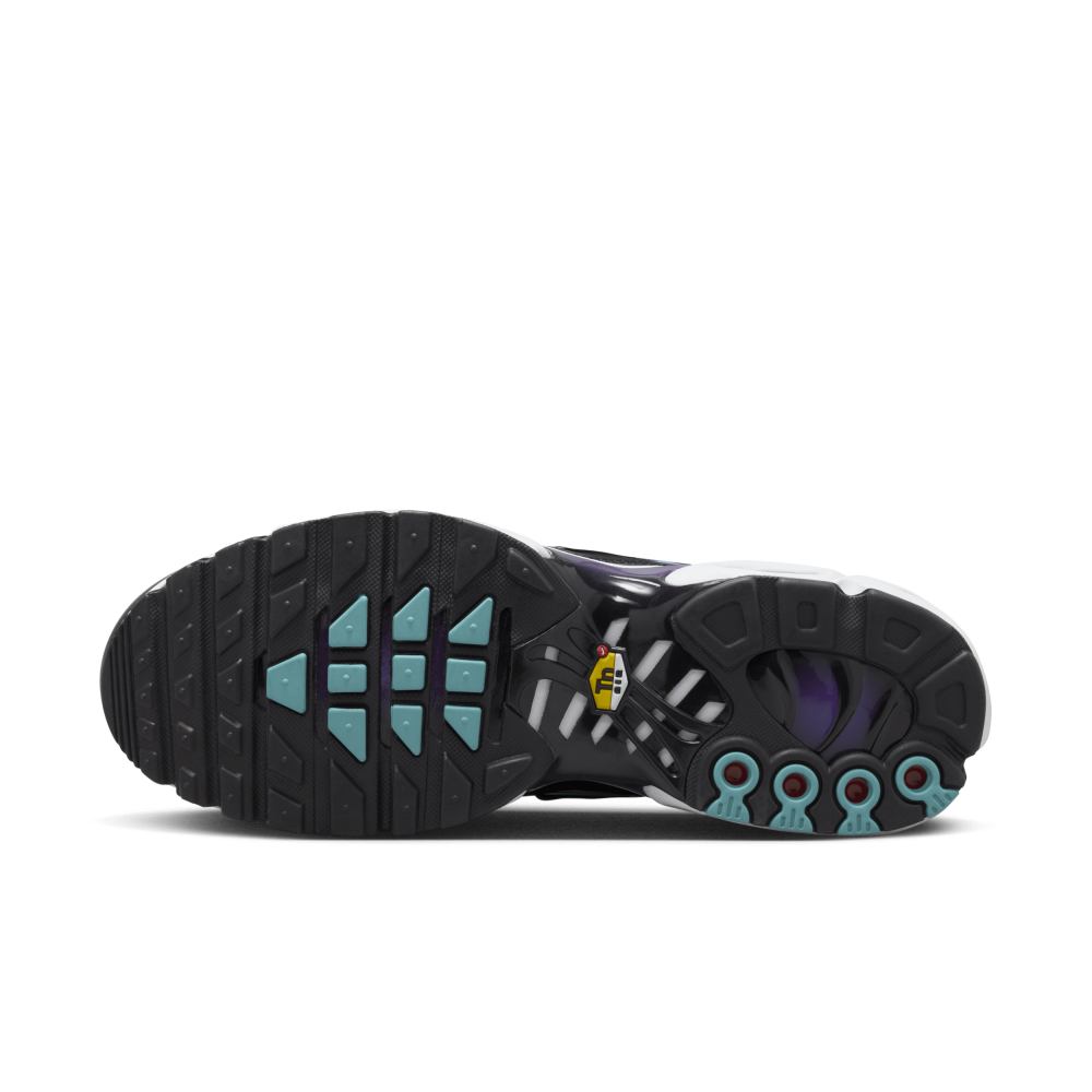 Nike Air Max Plus Reverse Grape FQ2415-500 / lila