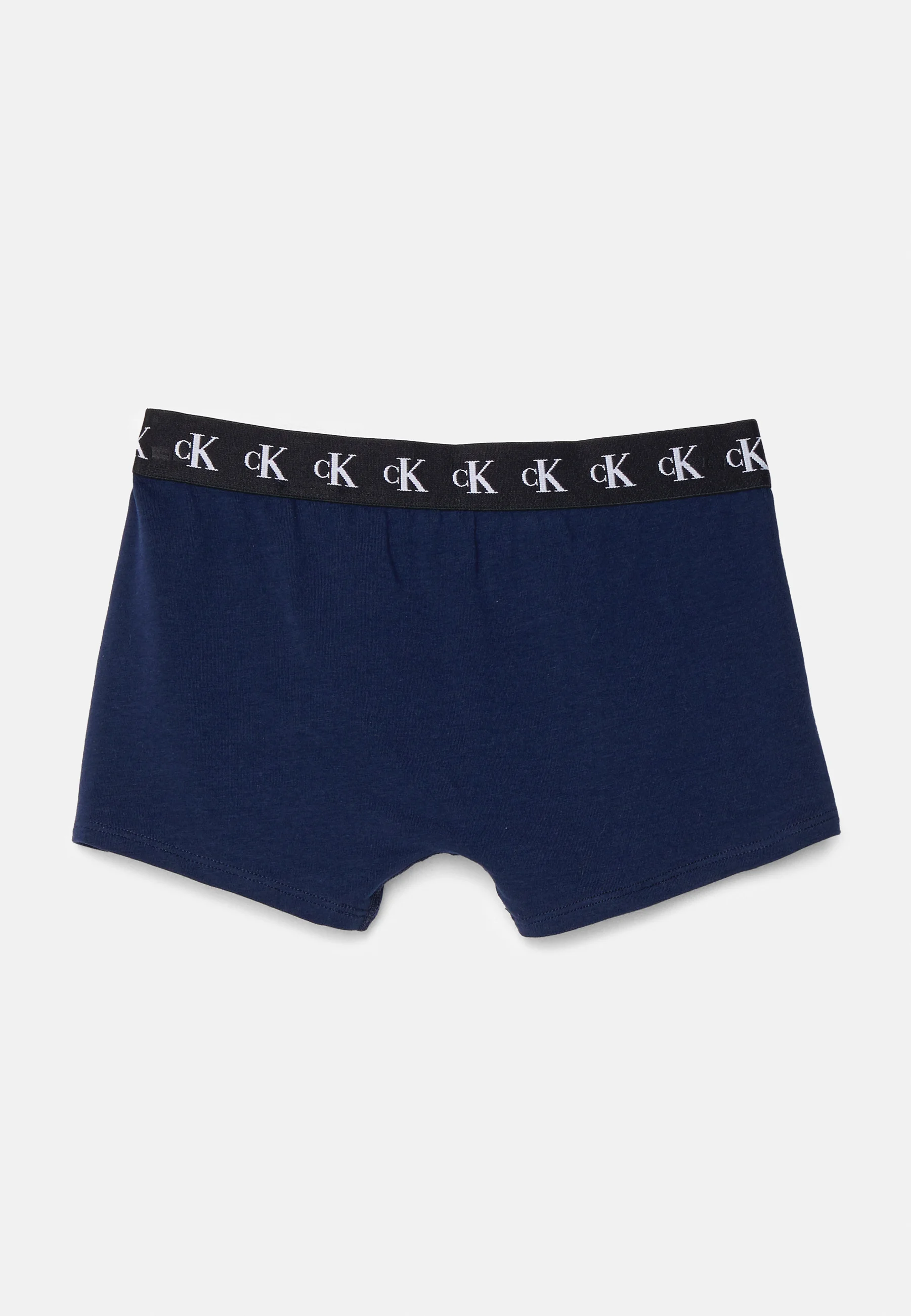 Calvin Klein Underwear TRUNK PACK DE 2 - Culotte