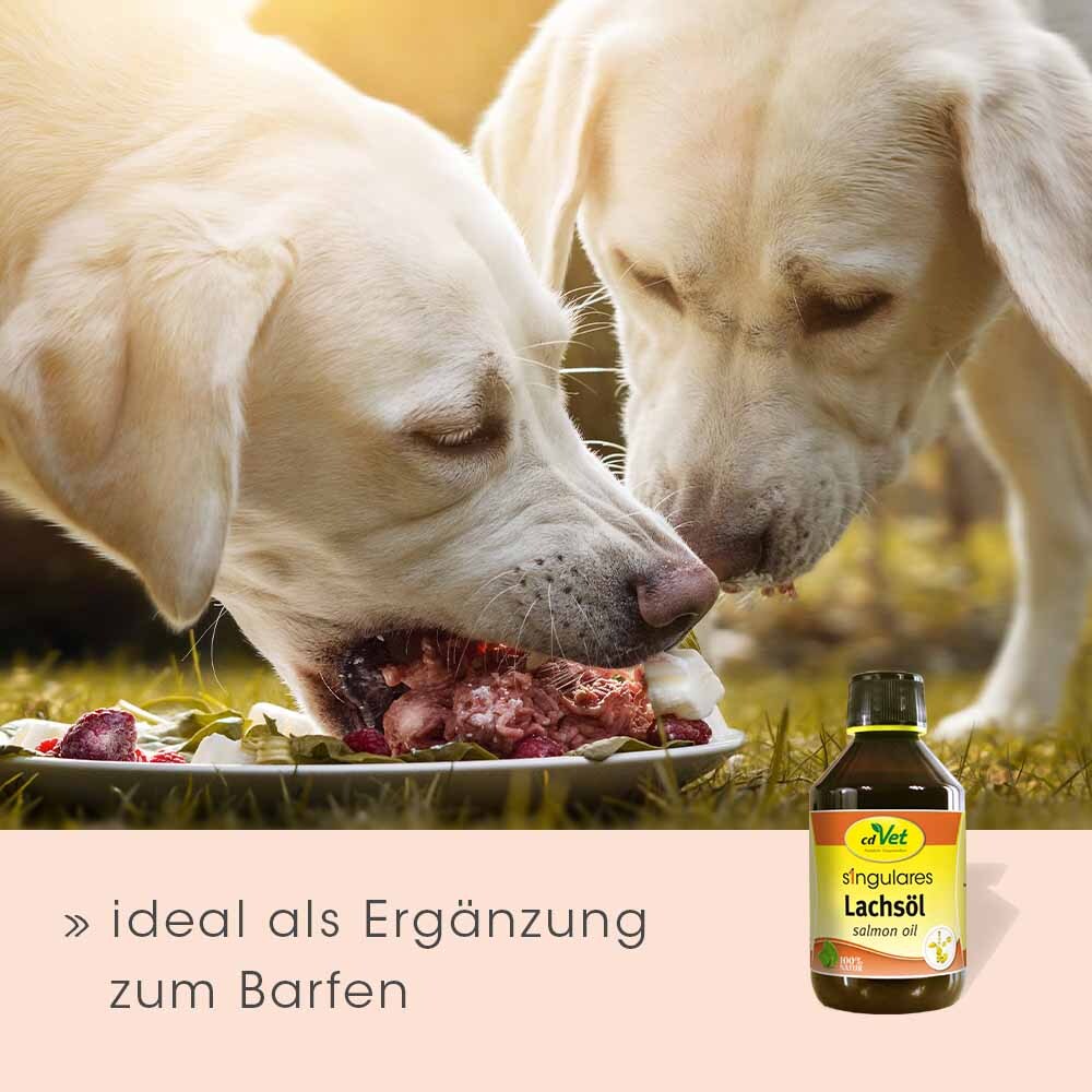 Singulares Ergänzungsfutter & Aufzucht Singulares Lachsöl