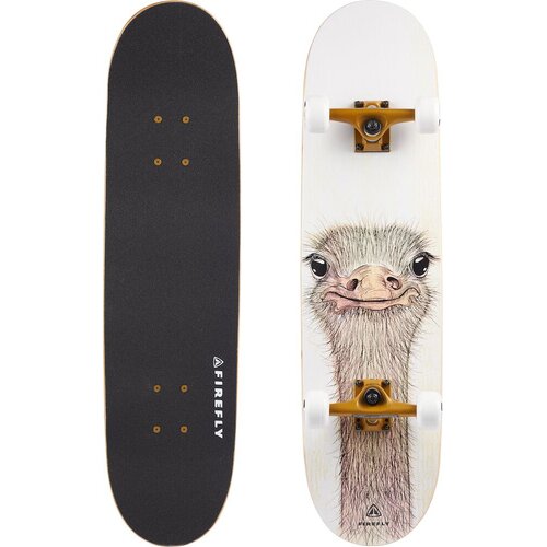 SKATEBOARD SKB 505