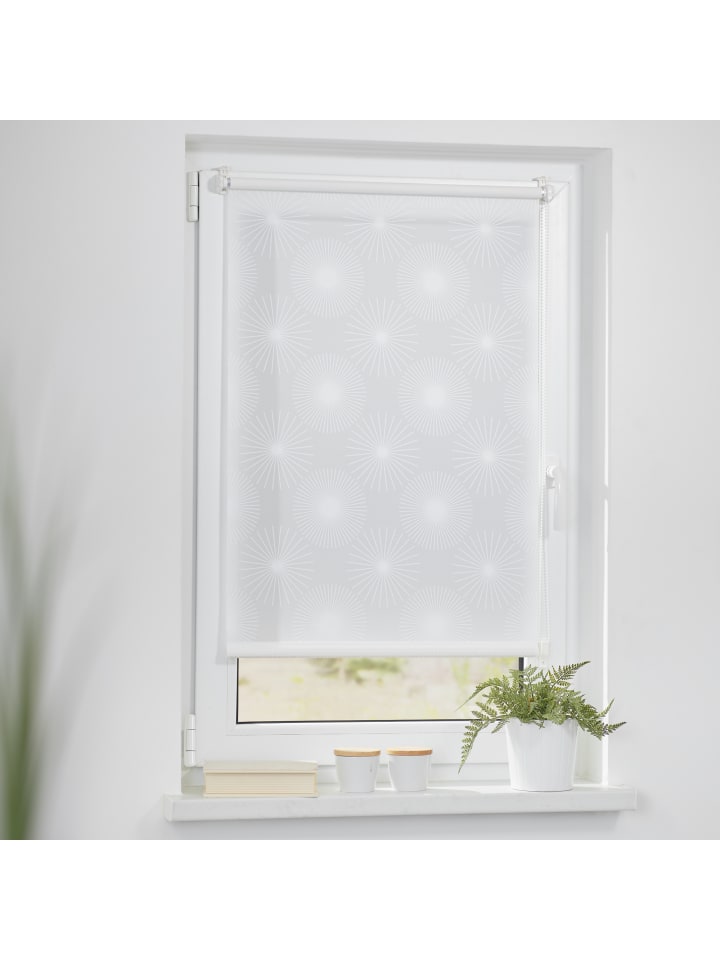 Lichtblick Seitenzugrollo in Weiß Sonne günstig kaufen