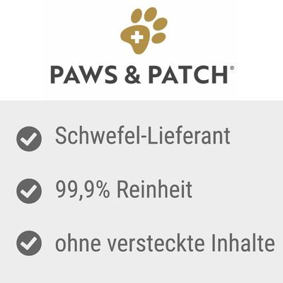PAWS & PATCH MSM Pulver
