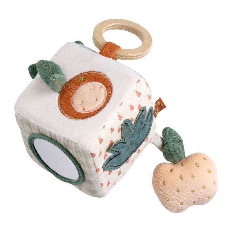 Cube d'activités Botanica