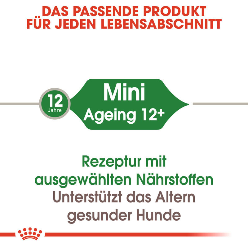 ROYAL CANIN Hundenassfutter ROYAL CANIN Mini Ageing 12+ 12x85g