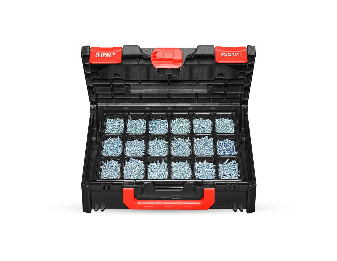 Blechschrauben DIN 7981 verz. STRAUSSbox 118 midi