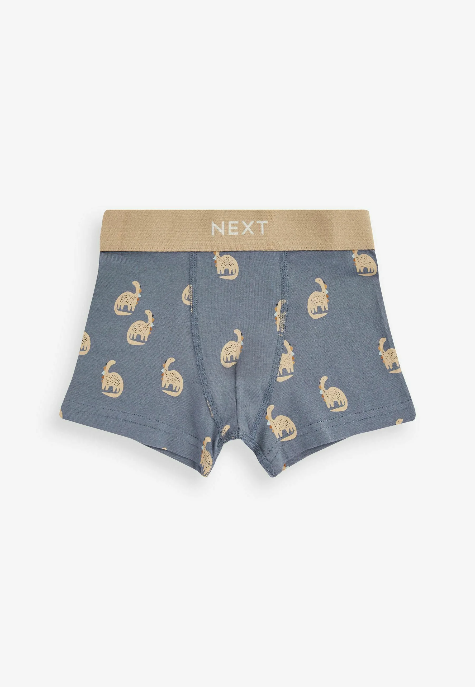 Siguiente 10 PAQUETE ESTÁNDAR - Culotte