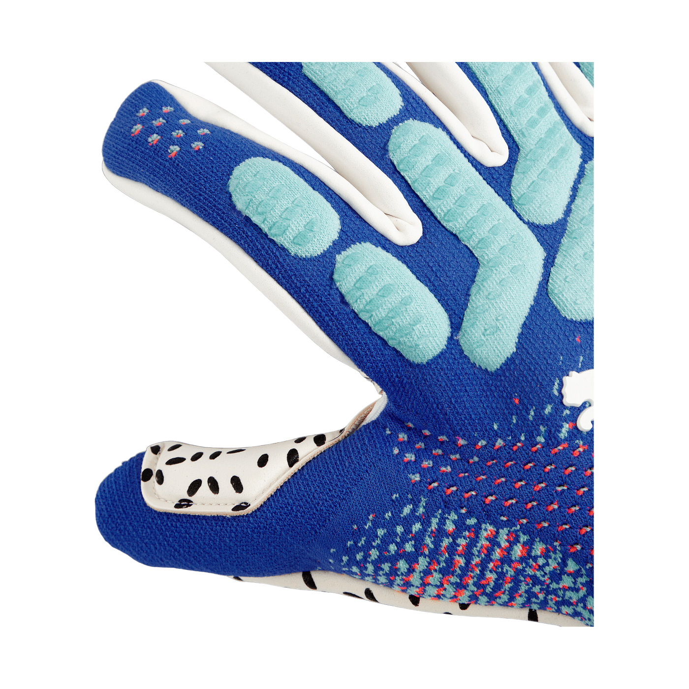 PUMA FUTURE Ultimate NC Torwarthandschuhe Blau F04