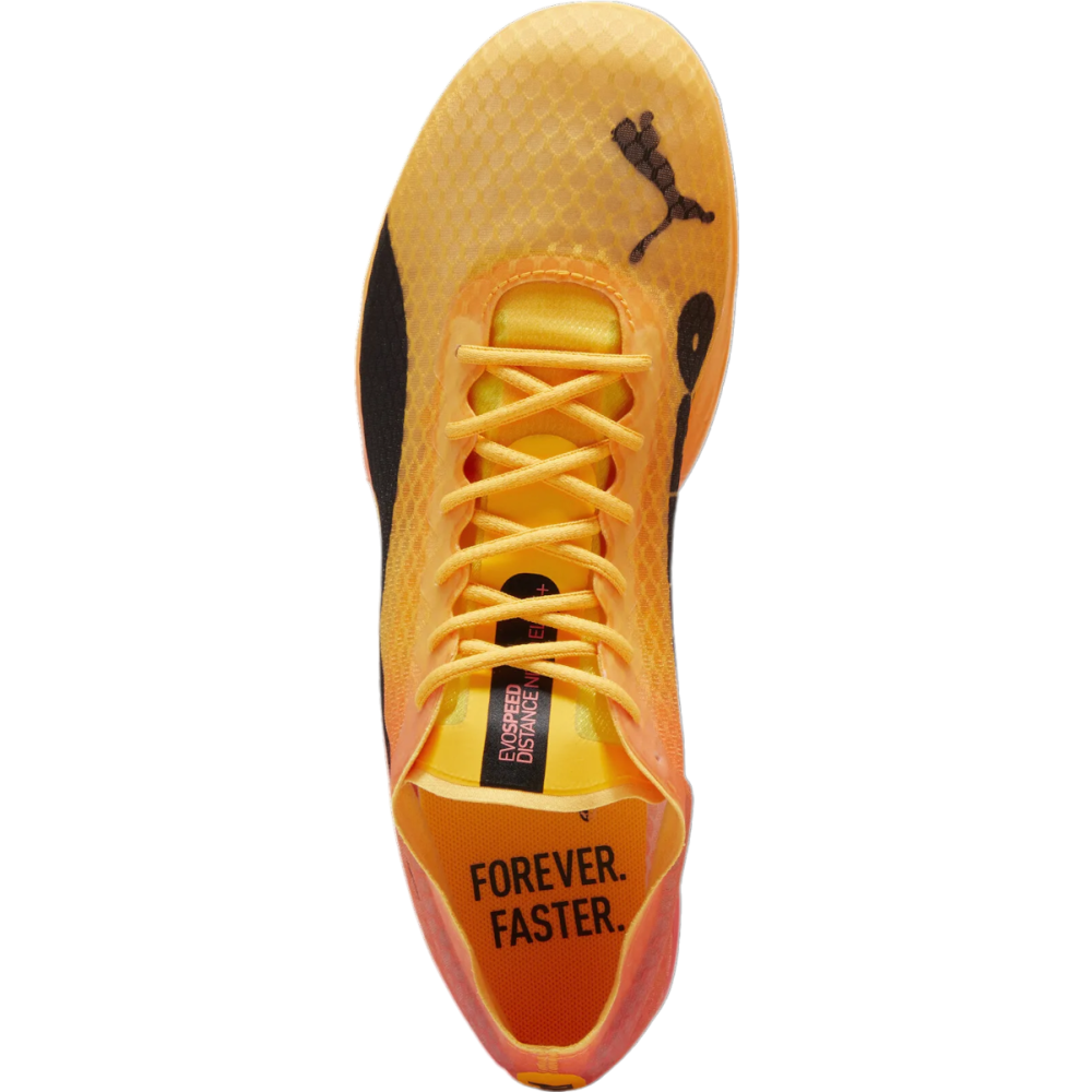 PUMA evoSPEED Distance Nitro Elite 4 380000-01 / gelb