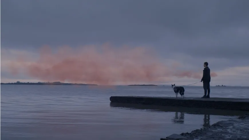 The Pink Cloud - Zusammen. Allen. Für immer