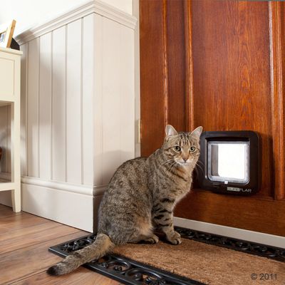 SureFlap Katzenklappe mit Chip