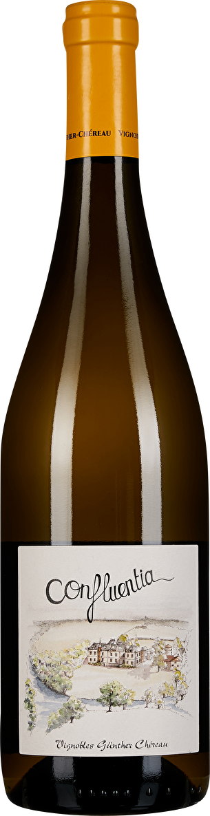 Vignobles Günther Chereau Muscadet Sèvre-et-Maine Confluentia 2020