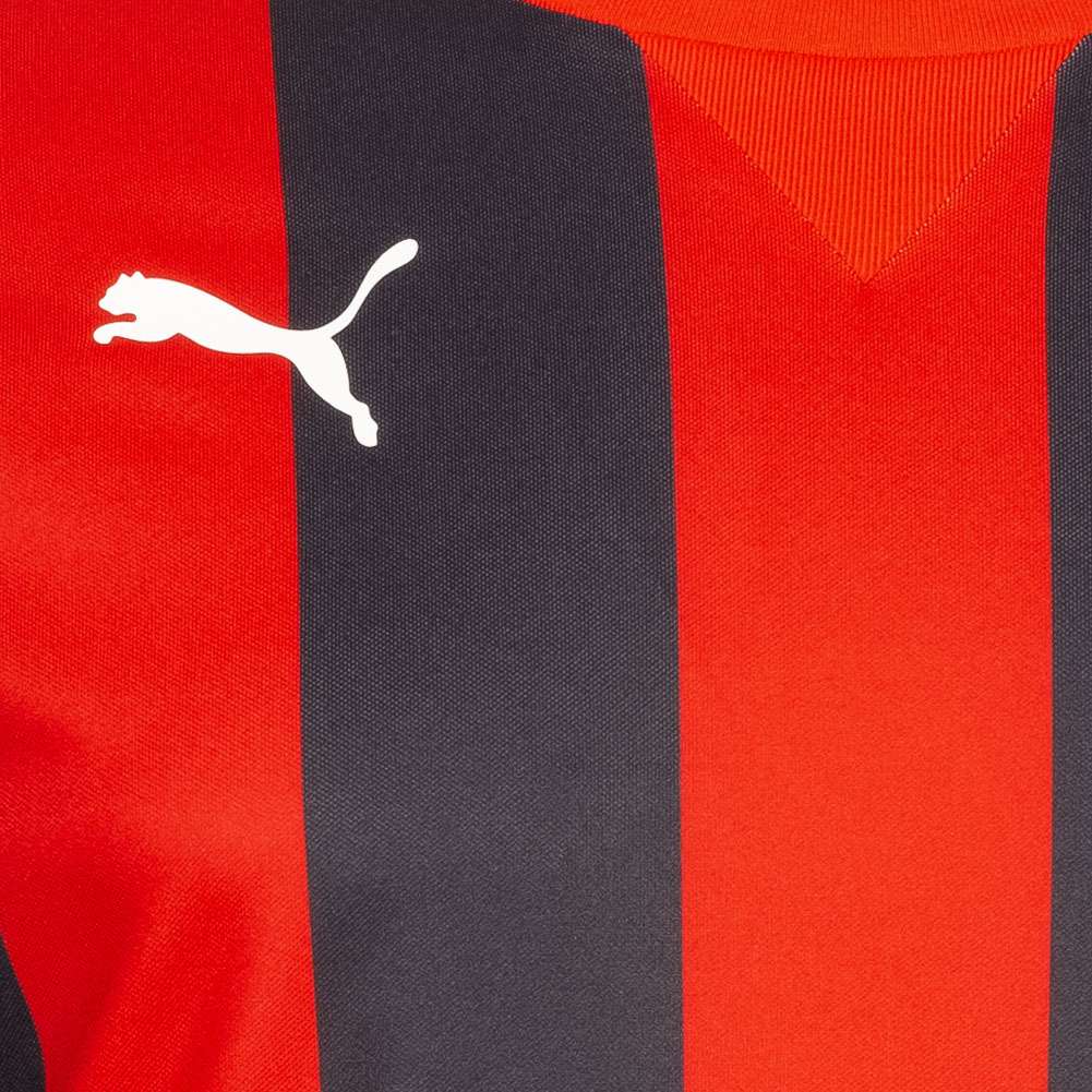 PUMA Striped Herren Langarm Trikot 702086-14