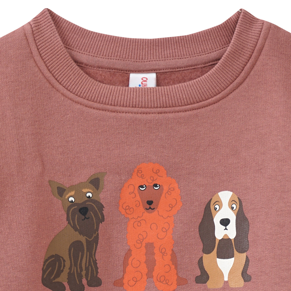 Mädchen Sweatshirt mit Hunde-Print
