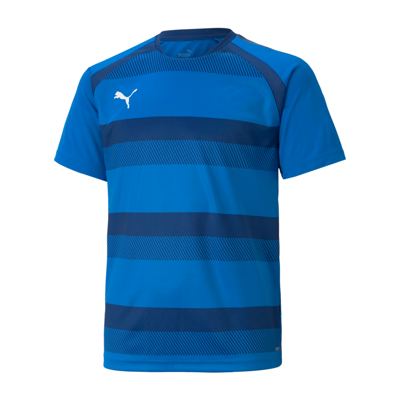 PUMA teamVISION Trikot Kids Blau F02