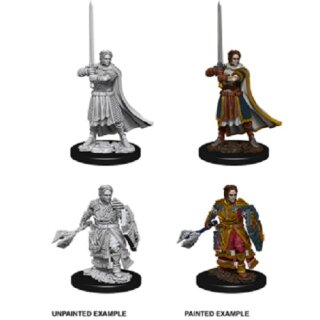 Male Human Cleric: Nolzurs Marvelous Unpainted Minis