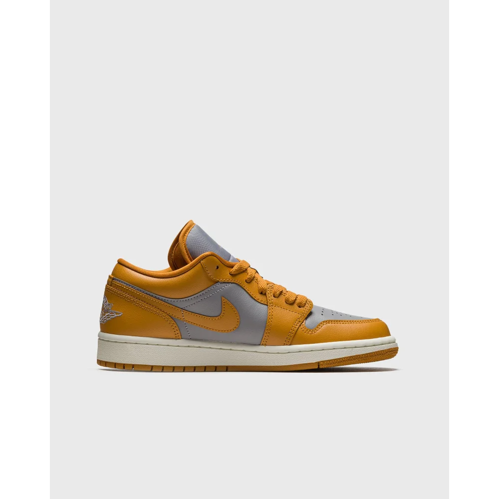 NIKE JORDAN 1 Low Air DC0774-020 / grau