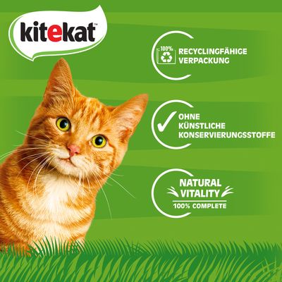 96 x 85 g Kitekat Frischebeutel