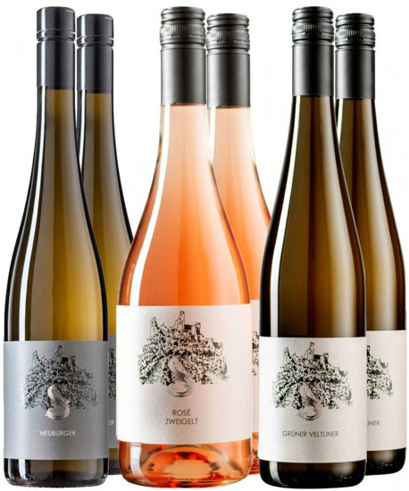 Andrea Schenter Kennenlern-Paket - Andrea Schenter