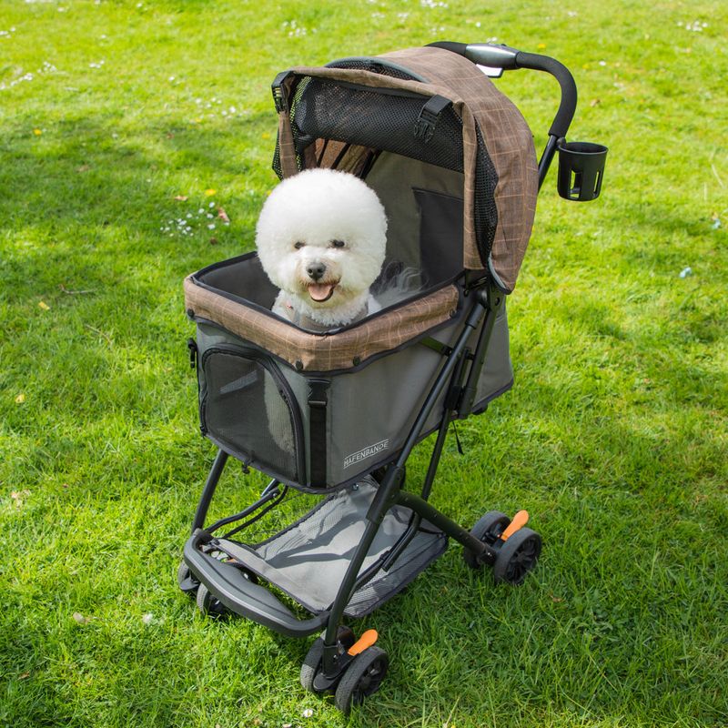 HAFENBANDE Haustier Buggy Sailor zu TOP-Preisen