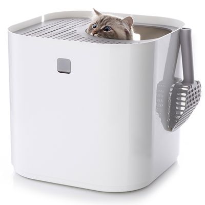 Modkat Katzentoilette