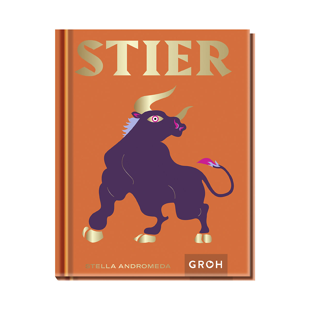 Stier