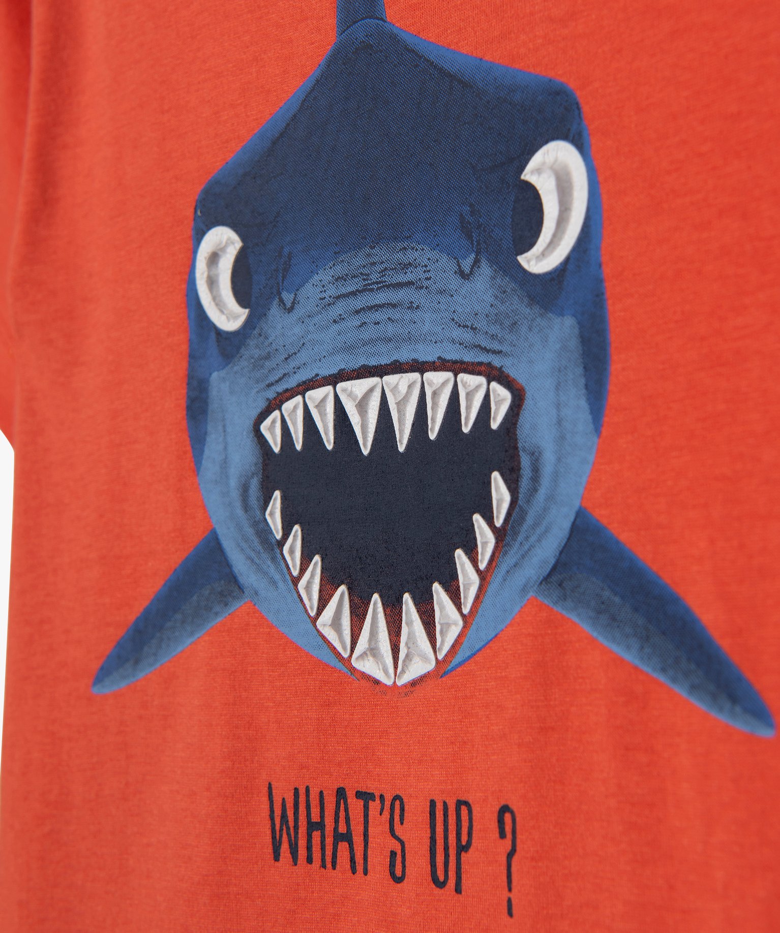 Tee-shirt Garçon à manches courtes avec motif sur le buste orange | GEMO
