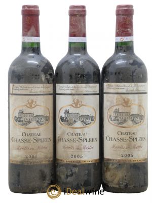 Château Chasse Spleen  2005 - Lot de 3 Bouteilles