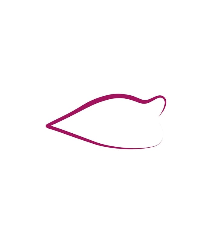ARCANCIL-LIP LINER TATOO-Feutre Contour Des Lèvres Semi-Permanent