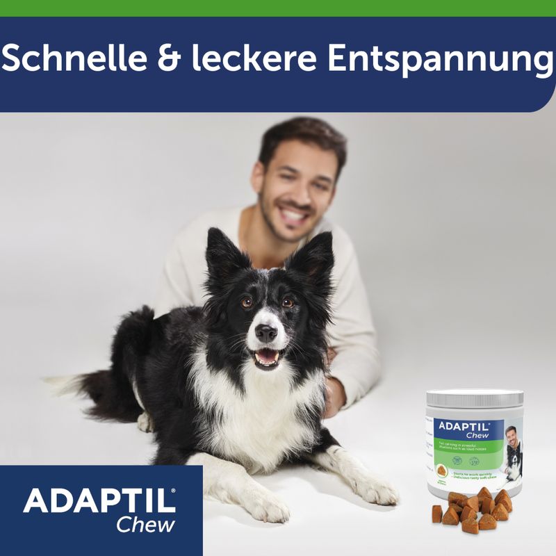 ADAPTIL Chew für Hunde zu TOP-Preisen