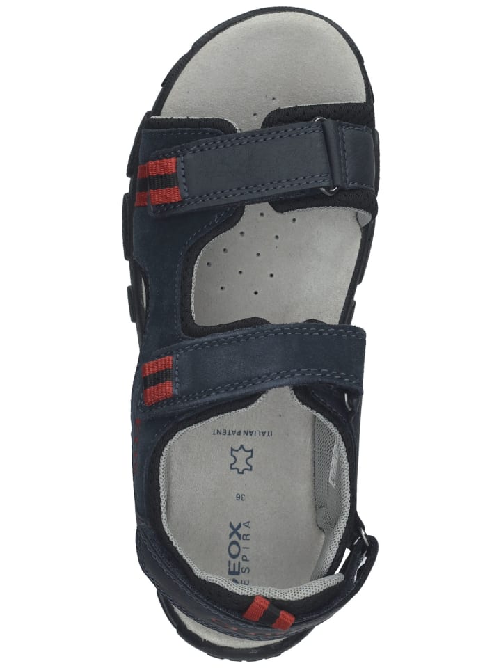 Geox Sandalen in Navy/Rot günstig kaufen