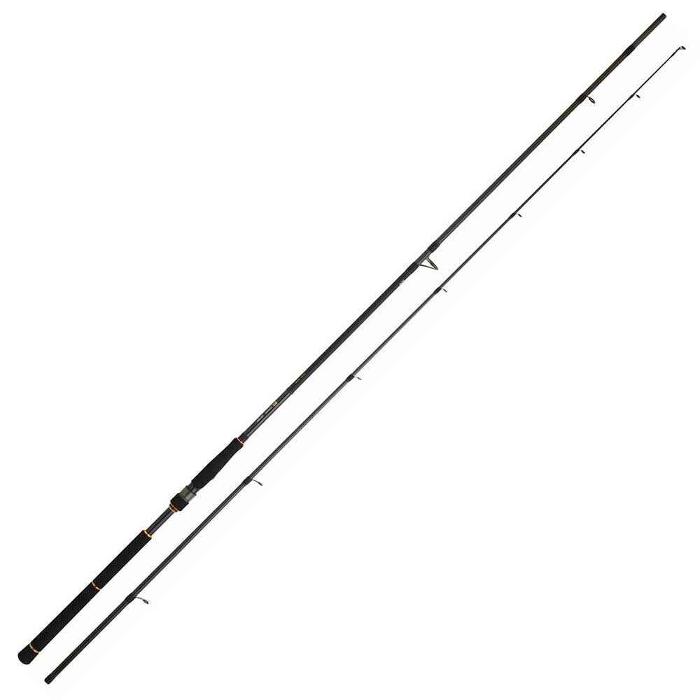 Штап за бацање Daiwa bg seabass 1062 xxhfs 3,20m 60-120g