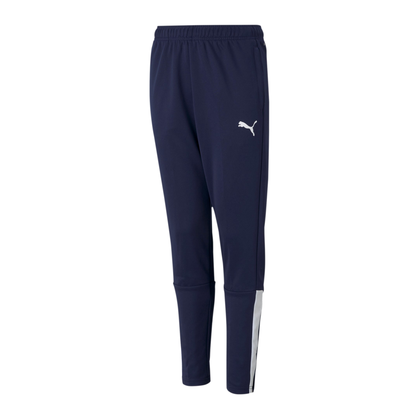 PUMA teamLIGA Trainingshose Kids Blau Weiss F06