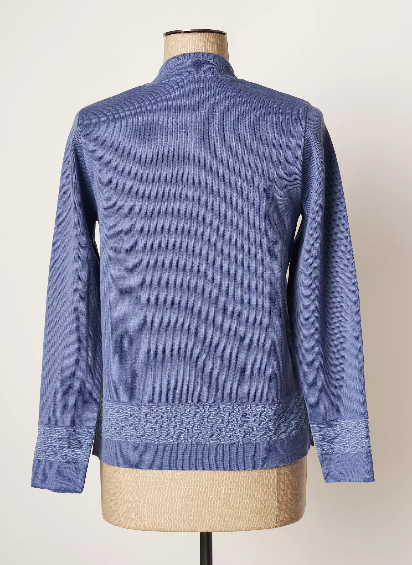 Eleane Pulls Femme couleur bleu