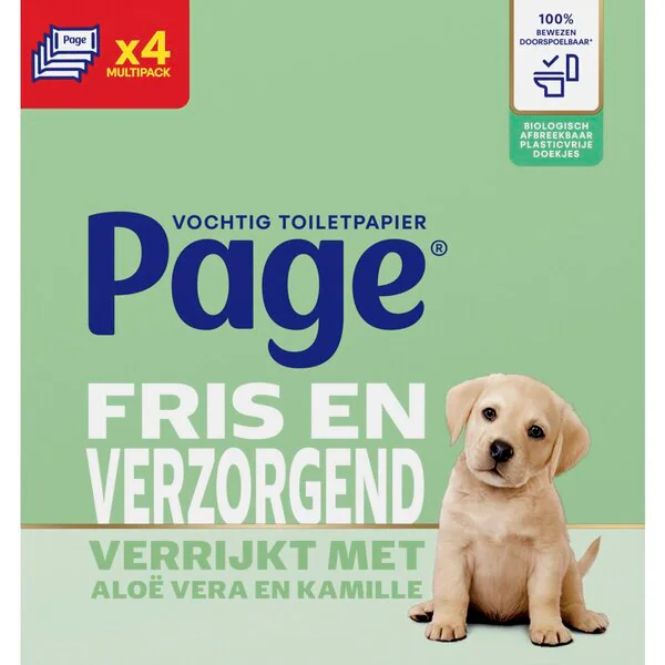 Page Fresh and Caring Moist Toilet Paper 4 x 38 pieces