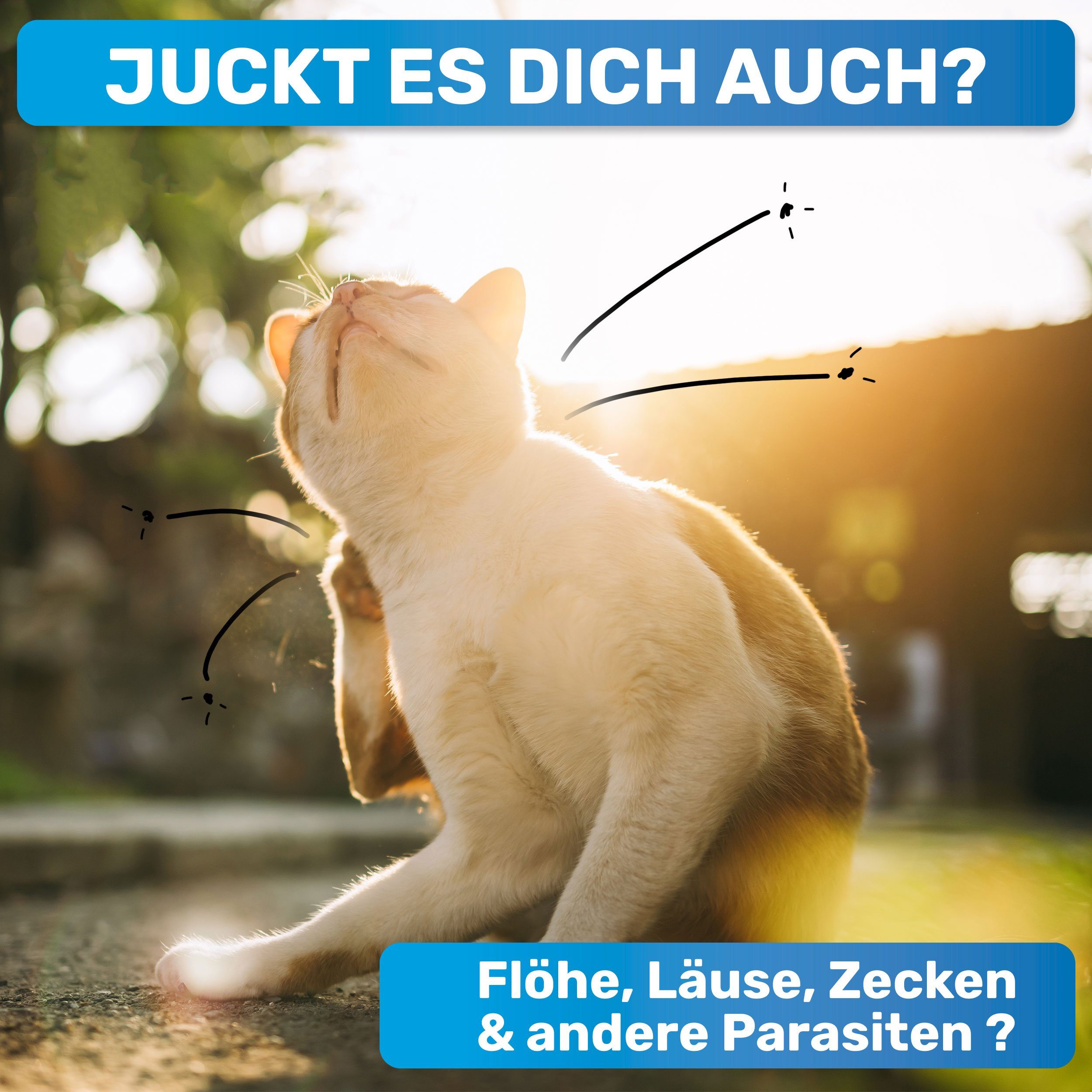 BluePet Flohkamm 