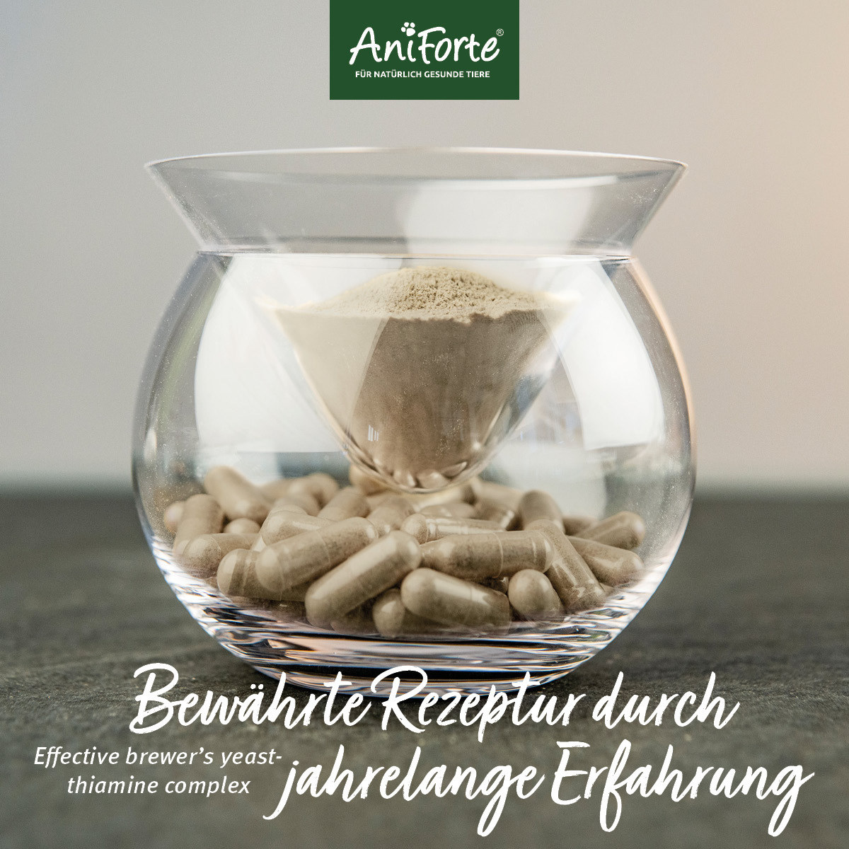 Aniforte Ergänzungsfutter & Aufzucht Aniforte Zecken Schild (bis 10kg) für kleine Hunde 60 Kapseln