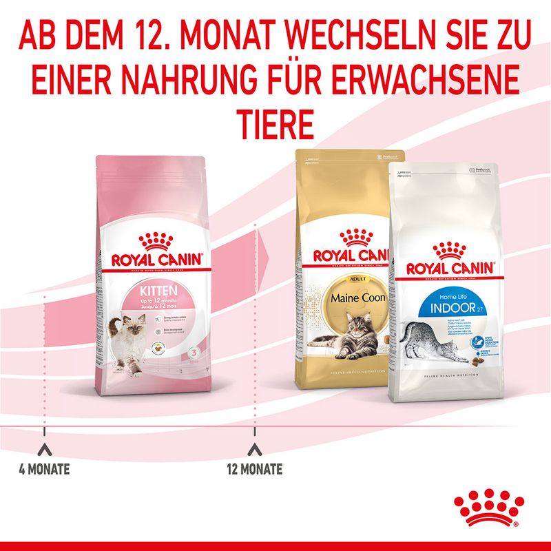 Royal Canin Kitten zu TOP-Preisen