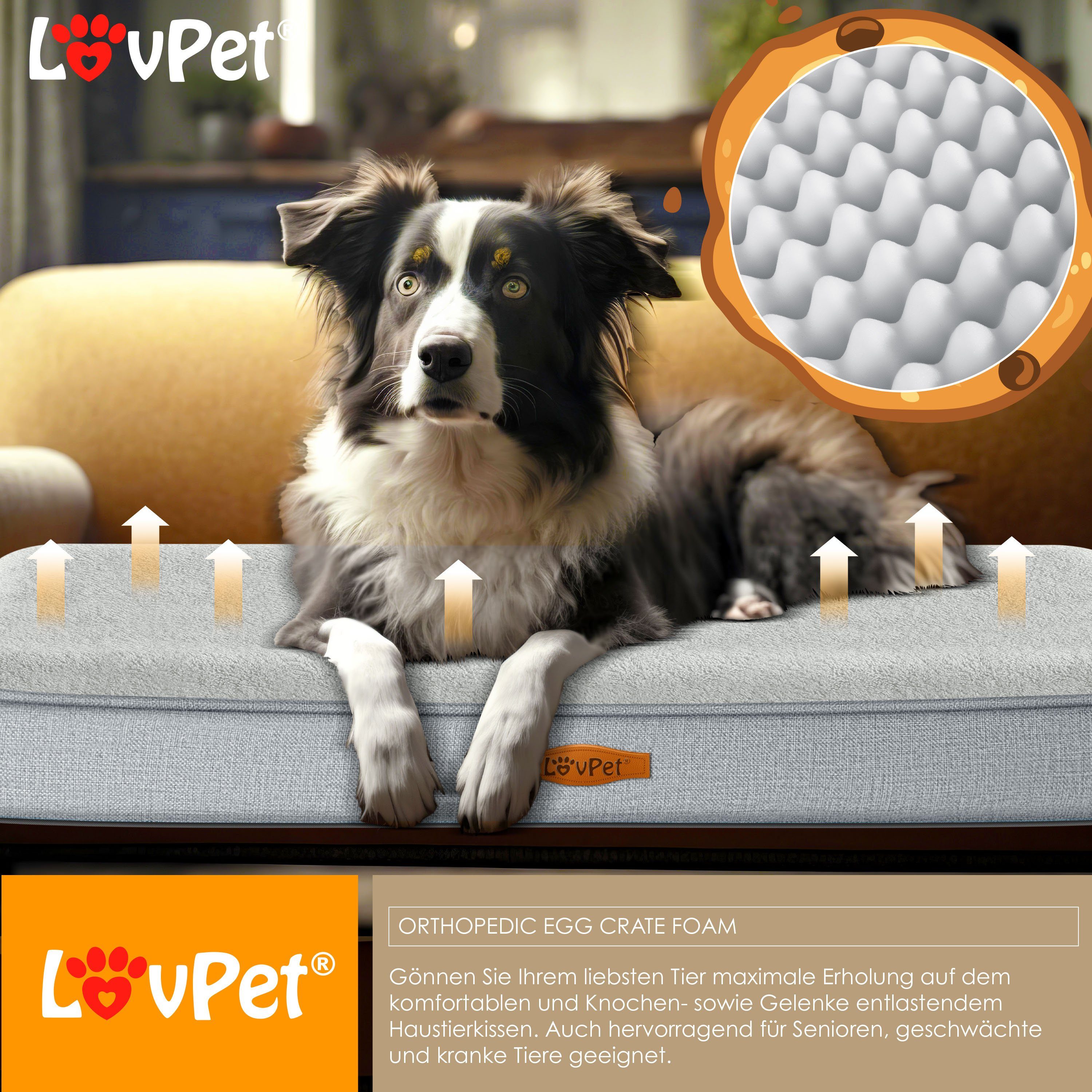 Lovpet Tierbett, Hundebett orthopädisches Hundekissen Hundekorb Cookie