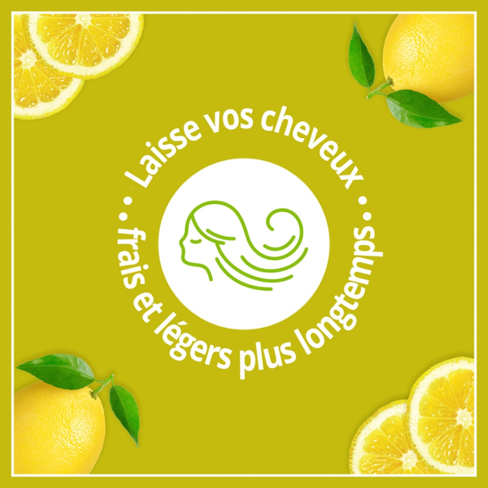 le petit marseillais Shampooing Purifiant, Cheveux Regraissant , Feuilles d'Ortie BIO & Citron BIO Shampoing
