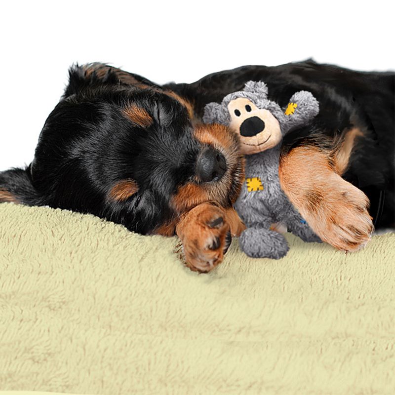KONG WildKnots Bears zu TOP-Preisen