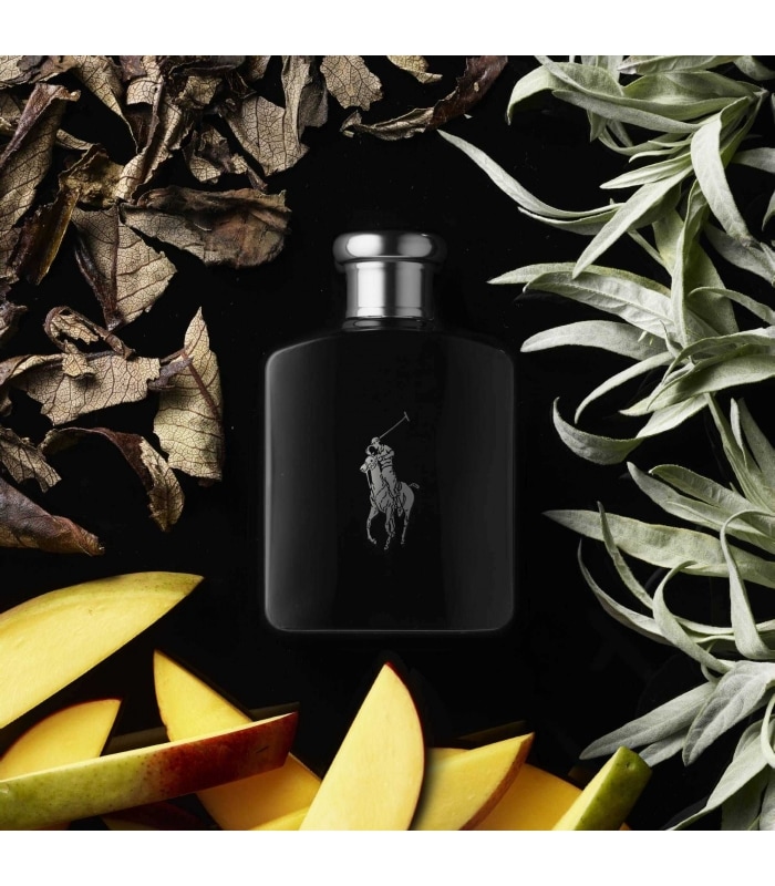Ralph Lauren-POLO BLACK-Eau de Toilette Vaporisateur