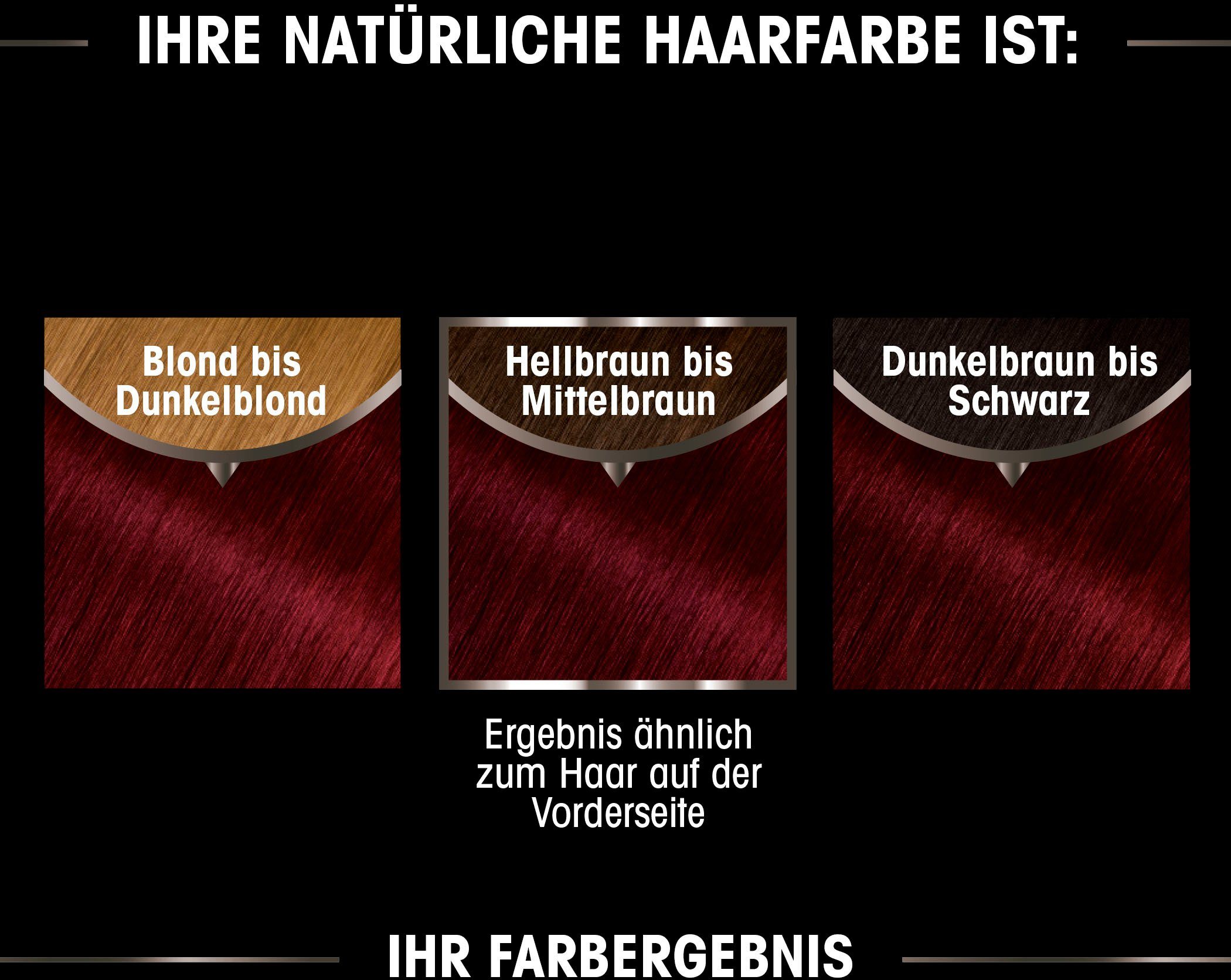 GARNIER Coloration Garnier Olia dauerhafte Haarfarbe, Set, 3-tlg., Ölbasis