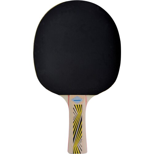 TISCHTENNISSCHLÄGER LEGENDS 500 FSC
