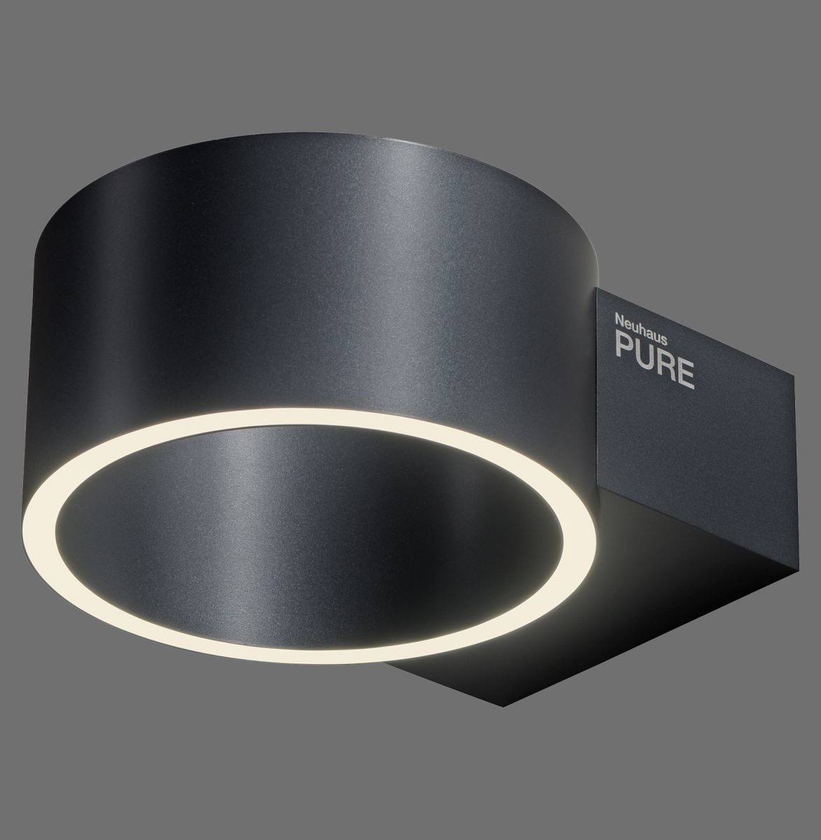 Paul Neuhaus LED Wandlampe Pure Clipse Grau