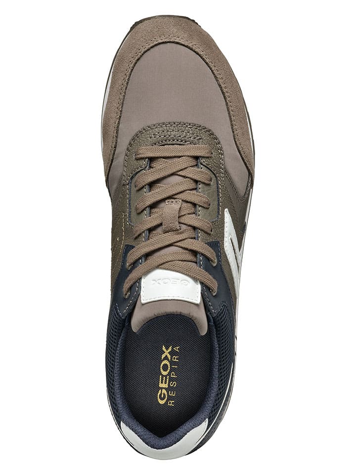 Geox Sneakers in Taupe/ Dunkelblau günstig kaufen
