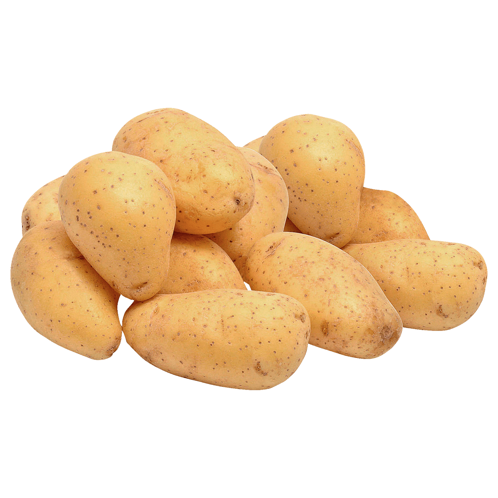 Bioregion Heilbronner Land Kartoffeln festkochend 1,5kg